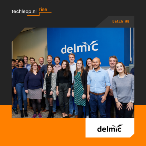 Delmic team