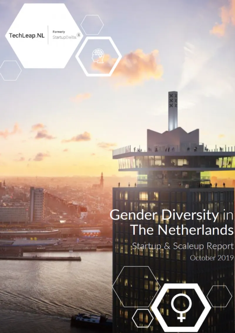 Cover to Gender Diversity in the Netherlands Report