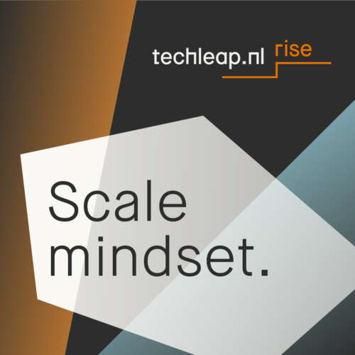 An image saying: Techleap Rise. Scale mindset.