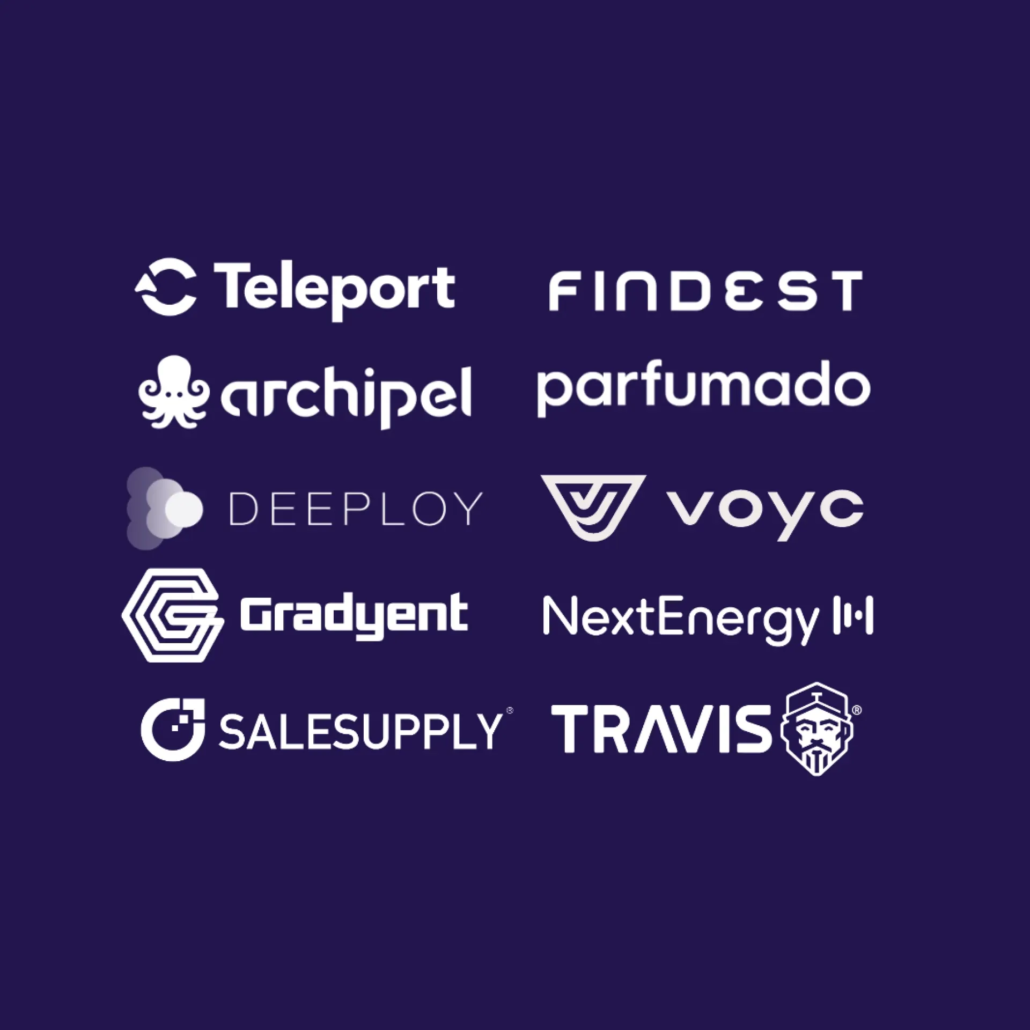 rise batch 12 companies